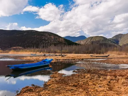 BigWins Casino Application mobile